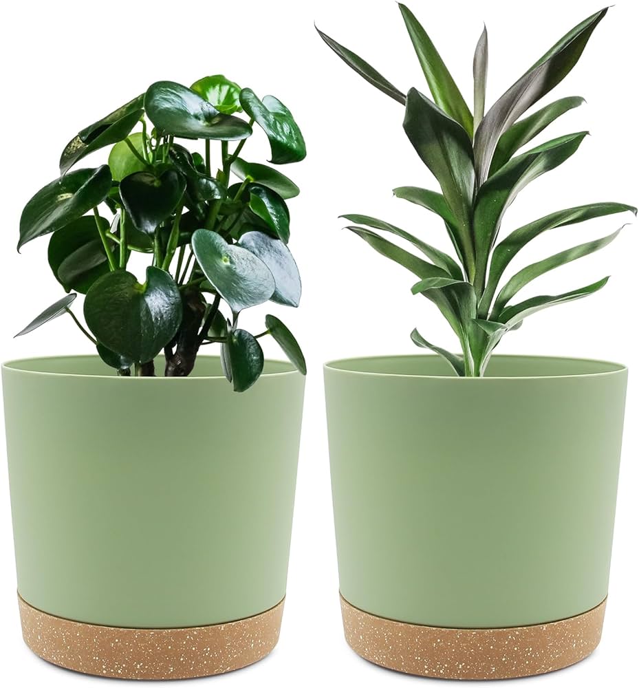Indoor Plant Pot Set